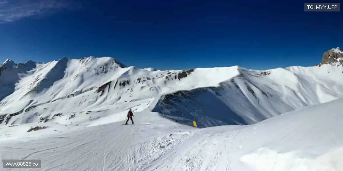 互动时刻,与你同在!💬🎉
